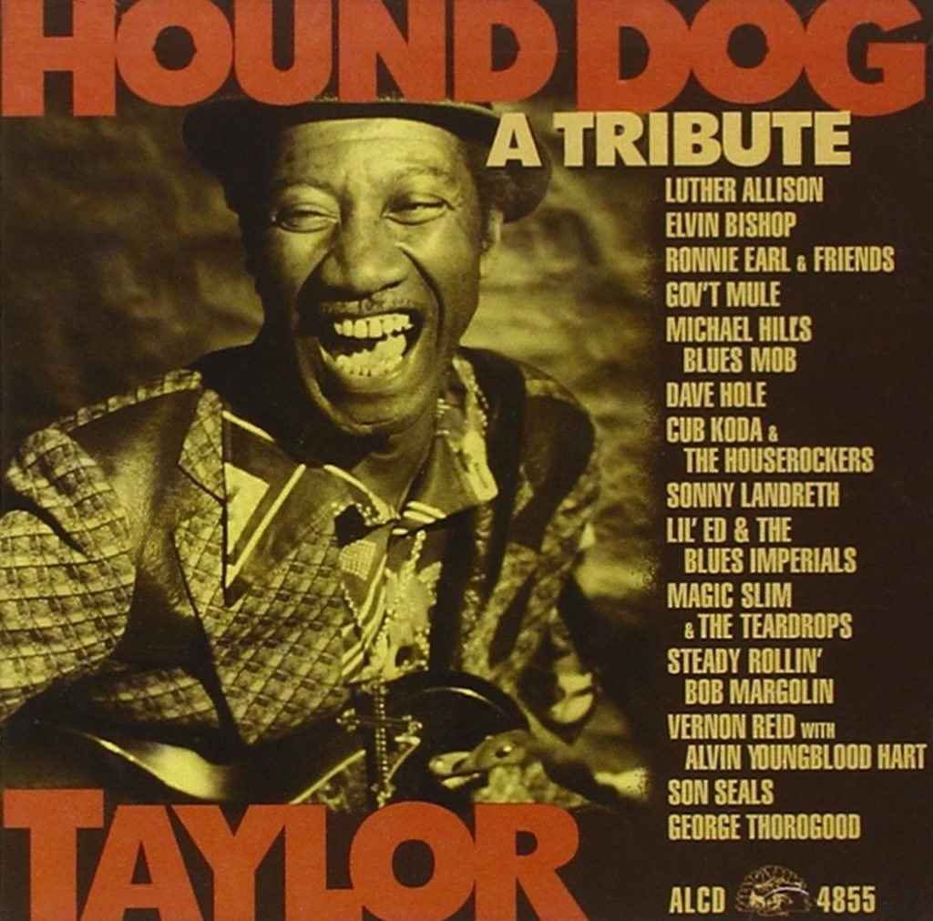 Tributo a Hound Dog Taylor